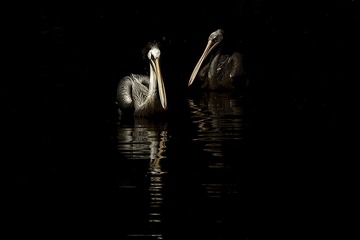 IMG_8648 1