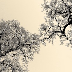 P1010536