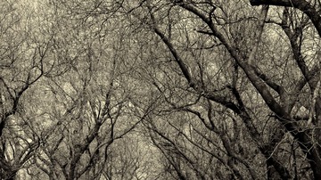 P1010616