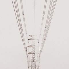 P1020229