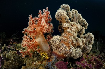 P1040693