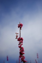 _DSC0348 (1)