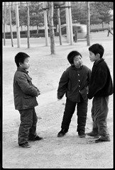 003【北京和平里】1981.1