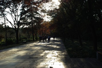 夕照