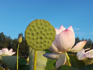 9949