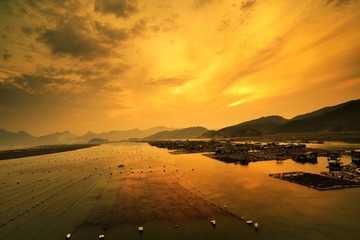 _DSC3770