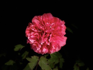A40C5CA7-0FA9-4996-81B2-C48D7B241D70/L0/001