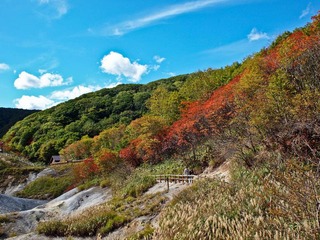 北海道