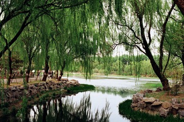 圆明园