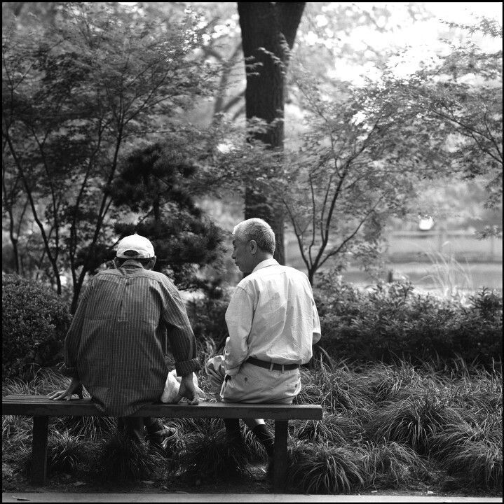 corner, life goes on<br />
儿女的各奔东西，老人们很想有个能说话的伴儿
