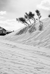 _DSC0055