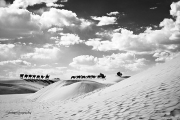 _DSC0057