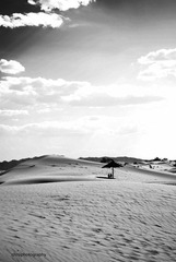 _DSC0107