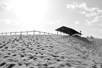 _DSC0133