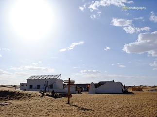 _DSC0141