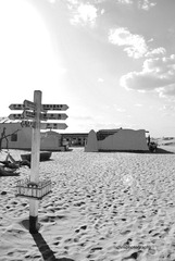 _DSC0147