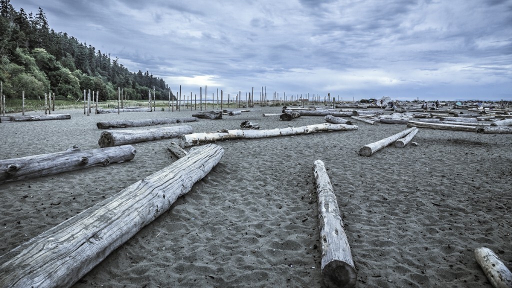 UBC Beach<br />
