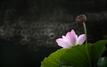 4E815535-9F07-48AB-87FC-11C1605A8218/L0/001