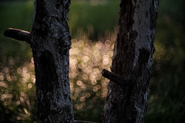 B3B99D5F-5E22-4603-821D-FA0359BCA205/L0/001