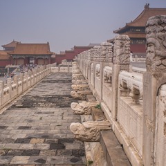 _SWO1694
