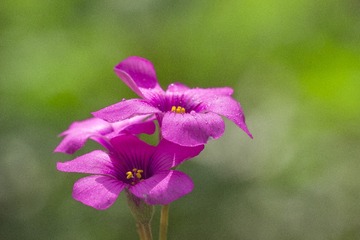 IMG_2017_03_26_3358