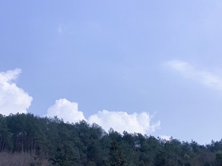 2B53C074-A136-45D5-94A7-A0D4026E351F/L0/001