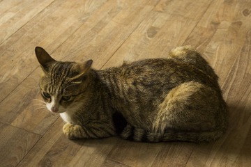 IMG_0278 140419 lzh