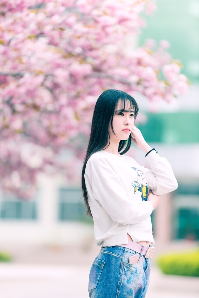 樱花季节，一年中最惬意的日子