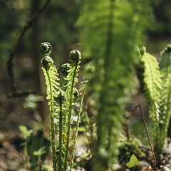 DSC03945_