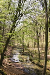 DSC03962_