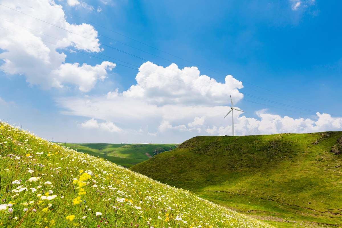 草原行辉腾锡勒黄花沟