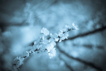 IMG_1113.jpg