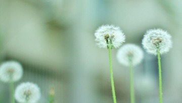 IMG_3317.jpg
