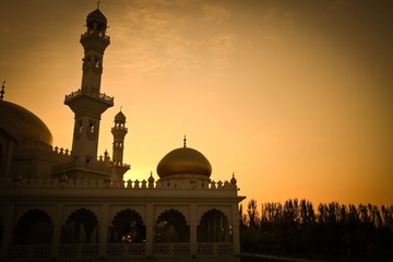 IMG_1498.jpg