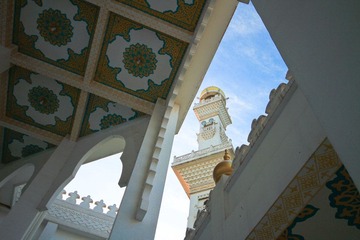 IMG_1534.jpg