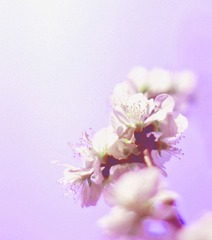 IMG_11172.jpg