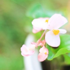 IMG_4497-1.jpg