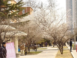 Spring