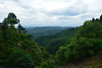 2014.8.28-8