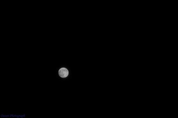 2014.9.8中秋-2
