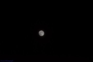 2014.9.8中秋-3