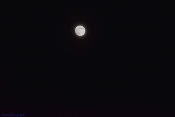 2014.9.8中秋-4