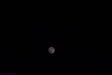 2014.9.8中秋-5