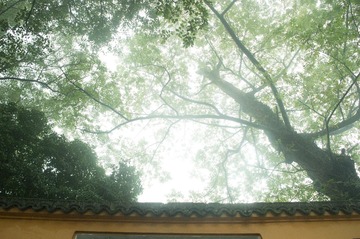 灵岩寺3