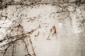 wall2