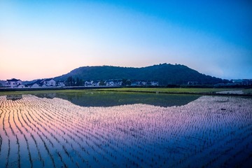 DSC02738-编辑1