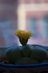 165559