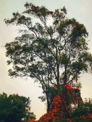 P1019357
