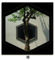 卡片机1