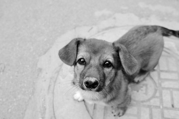 _DSC0881.jpg